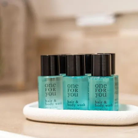 Tulip Old Town Guest house