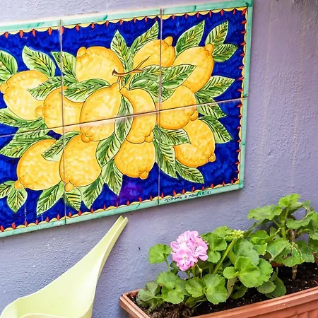 Tulip Old Town 3* 두브로브니크